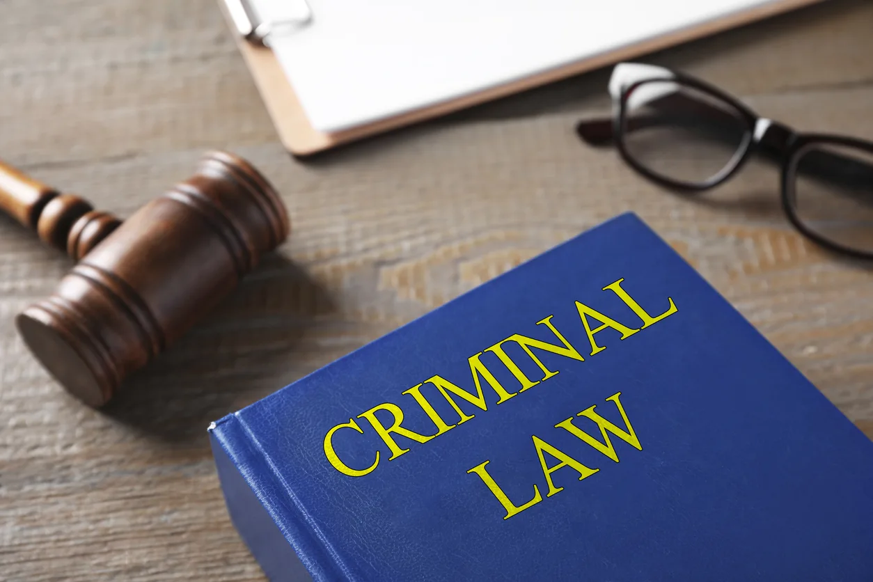 Tampa criminal defense law