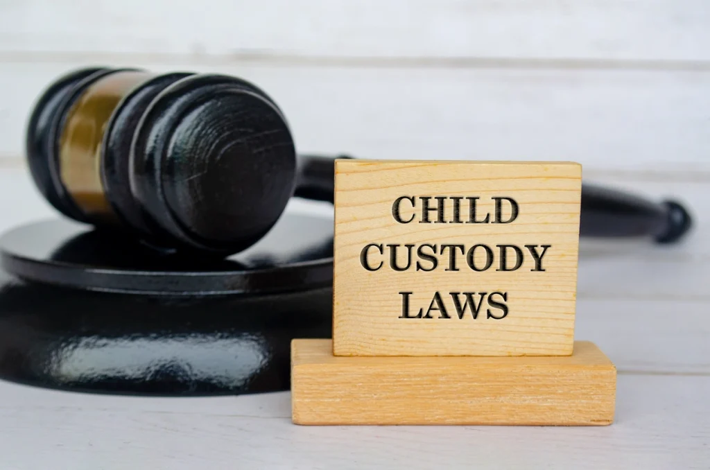 role of a Baton Rouge child custody lawyer